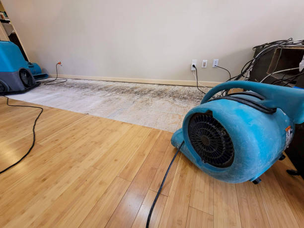 Professional Water Removal technician working in Conover, OH